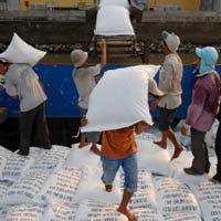 Thị trường - Tiêu dùng - Năm 2013, thị trường xuất khẩu gạo sẽ bị thu hẹp