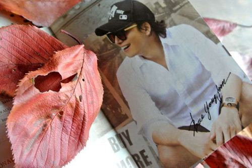 Bae Yong Joon: Từ ổ chuột đến sao hạng A - 4