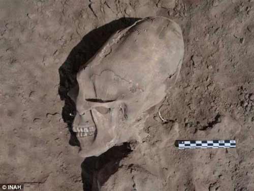Phát hiện sọ "người ngoài hành tinh" ở Mexico - 1