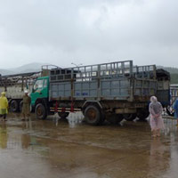 Thị trường - Tiêu dùng - Vây DN đòi nợ tiền nguyên liệu xăng E5