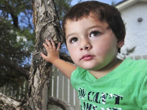 Úc: Bé trai "nuôi" 7 con rắn độc trong tủ áo - 1