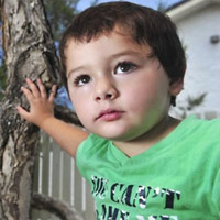 Tin tức trong ngày - Úc: Bé trai "nuôi" 7 con rắn độc trong tủ áo