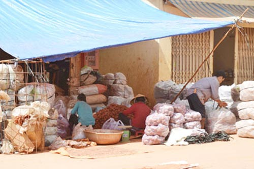 Đủ chiêu đưa rau củ Trung Quốc vào chợ - 1