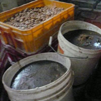 Thị trường - Tiêu dùng - Lọt vào “lò” bánh kẹo siêu bẩn!