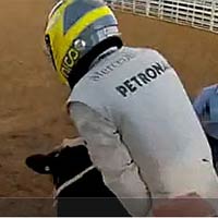 Thể thao - SAO F1 đấu bò