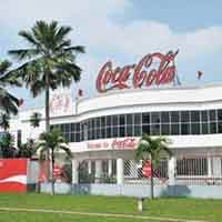 Thị trường - Tiêu dùng - Những khối u bốc mùi của đại gia