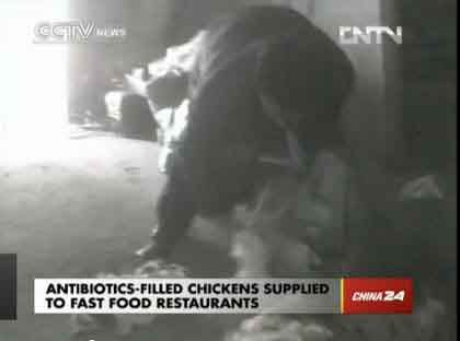 Gà kháng sinh: Cơ quan chức năng im lặng - 3