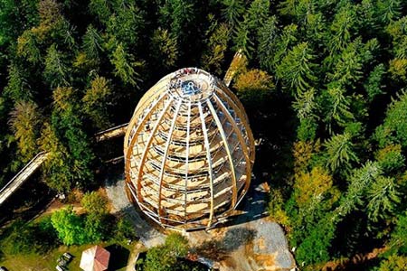 Cây cầu 'bay bay' xuyên rừng dài nhất thế giới - 3