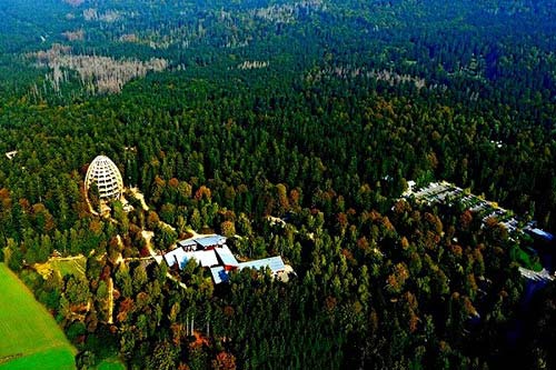 Cây cầu 'bay bay' xuyên rừng dài nhất thế giới - 9