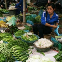 Tin tức trong ngày - 2012: Kiềm chế lạm phát thành công