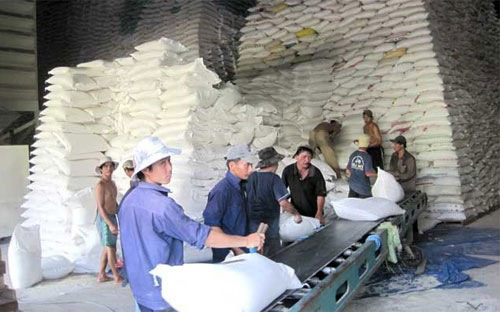 Giá gạo xuất khẩu VN tăng nhờ... Trung Quốc - 1