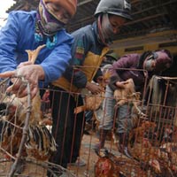 Thị trường - Tiêu dùng - Không để dân ăn thực phẩm “bẩn” dịp Tết