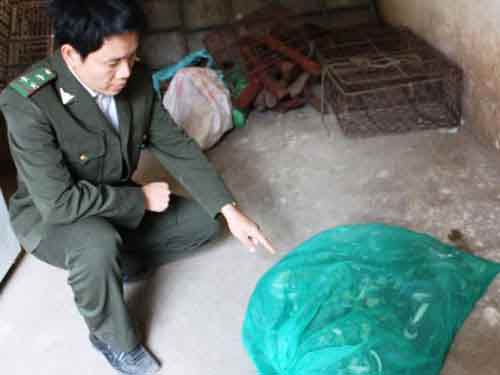 Bắt xe khách chở hàng chục con rắn độc - 2