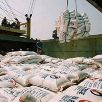 Thị trường - Tiêu dùng - Xuất siêu: 'Được tiếng không được miếng'