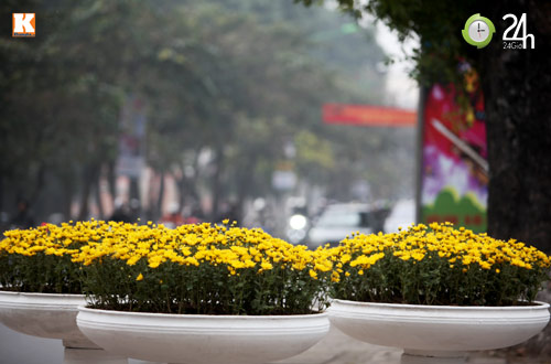 Hà Nội, TP.HCM rực rỡ đón năm mới - 15