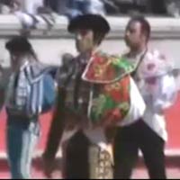 Thể thao - Video: Màn đấu bò của năm 2012