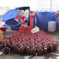 Tin tức trong ngày - Đừng đùa với rượu thuốc phiện