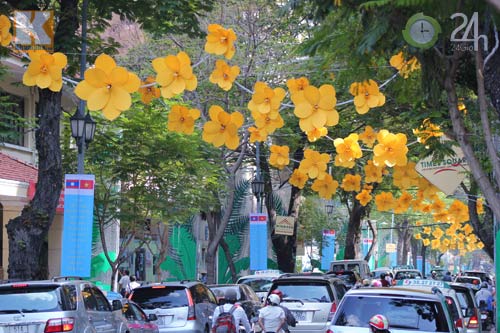 Hà Nội, TP.HCM rực rỡ đón năm mới - 5