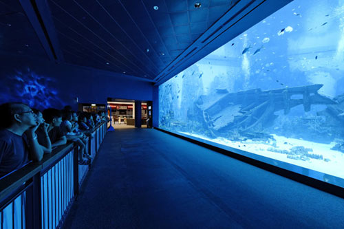 Thủy cung lớn nhất thế giới ở Singapore - 6