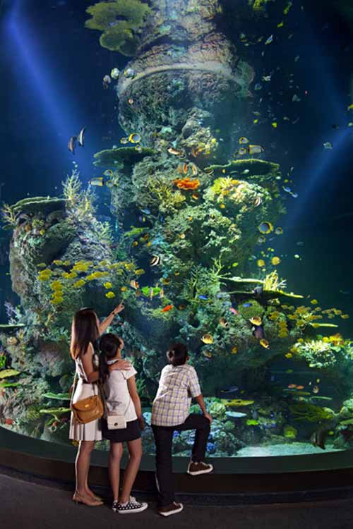 Thủy cung lớn nhất thế giới ở Singapore - 9