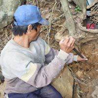 Sức khỏe đời sống - Sự thật đằng sau bài thuốc “trị ung thư”