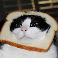 Phi thường - kỳ quặc - Top 10 chuyện lạ "hài" nhất trong năm (P1)