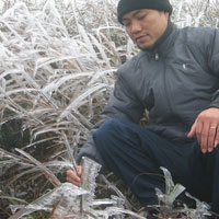 Tin tức trong ngày - Tết dương lịch, Việt Nam có thể có tuyết