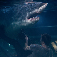Phim - Rùng rợn vì Bẫy cá mập 3D