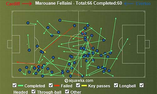 David Moyes đang "lãng phí" Fellaini - 2