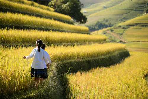 Nụ cười hồn nhiên của trẻ em Mù Cang Chải - 7