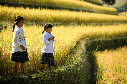 Nụ cười hồn nhiên của trẻ em Mù Cang Chải - 8