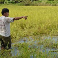 Tin tức trong ngày - Trắng đêm đuổi voi rừng: Phá nát "nhà" của voi