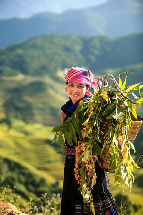 Lên Mù Cang Chải xem chọi trâu, gặt lúa - 20