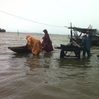 Tin tức trong ngày - Nguy cơ mở thêm cửa biển sau bão