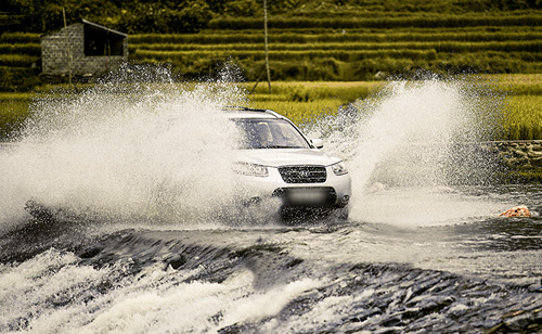 Lên Mù Cang Chải xem chọi trâu, gặt lúa - 13