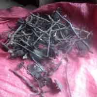 Thị trường - Tiêu dùng - Dân lại "nhao" đi săn nấm độc bán cho thương lái TQ