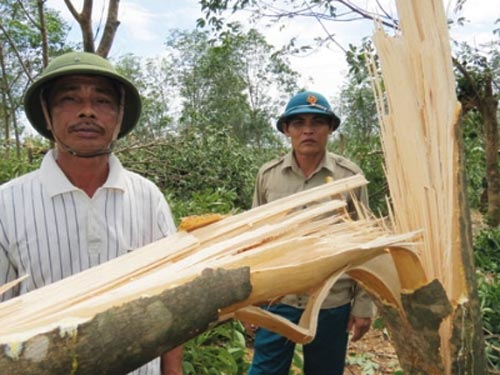 Cạn nước mắt sau siêu bão - 2