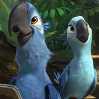 Phim - Clip rực rỡ sắc màu của Rio 2