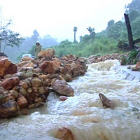 Tin tức trong ngày - Quảng Ngãi: Núi lở ầm ầm, 400 hộ dân bị cô lập