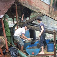 Tin tức trong ngày - TT-Huế: Núp bóng khai thác cát để "tìm" vàng