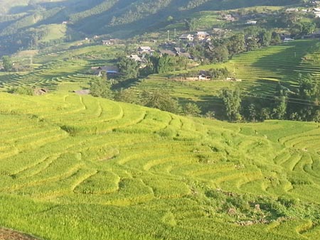 Quyến rũ sắc vàng mùa gặt ở Lùng Khấu Nhin - 2