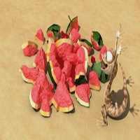 Video Clip Cười - Phim hoạt hình Oscar: One For All