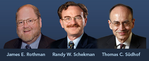 3 nhà khoa học Mỹ đoạt giải Nobel Y học 2013 - 1