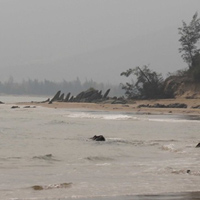 Tin tức trong ngày - Cận cảnh nơi an nghỉ nghìn thu của Tướng Giáp