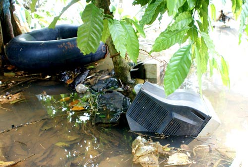 Khốn đốn vì thủy điện tích nước đột ngột - 2