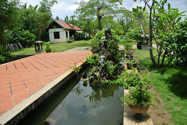 Thời gian gần đây, xuất hiện tại một số sự kiện của bạn bè,Thu Hương gây ấn tượng bởi vẻ ngoài ngày càng xinh đẹp, viên mãn.
