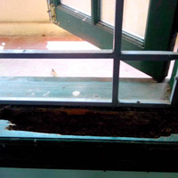 Giáo dục - du học - Trường học mối xông: 1 tháng xong dự án