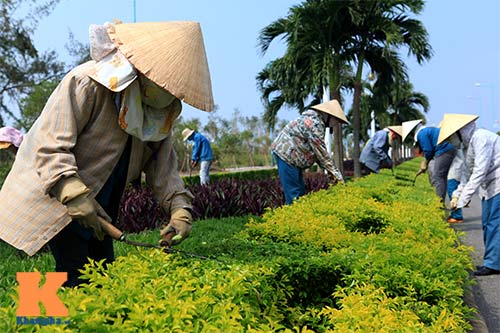 Linh xa tại sân bay Quảng Bình đón Đại tướng - 4