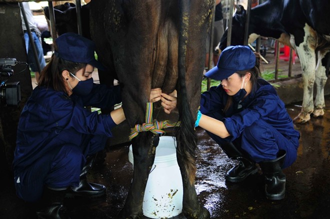 Trai xinh gái đẹp bị hành xác ở Cuộc đua kỳ thú - 7