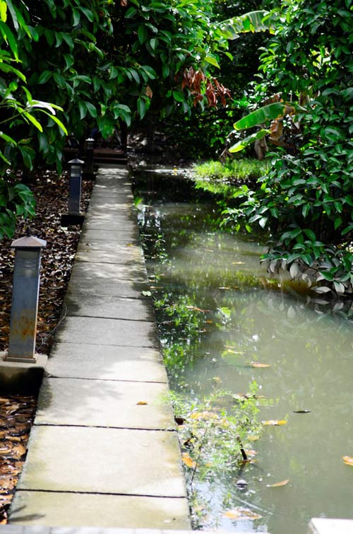 Cơ ngơi Việt Trinh thênh thang vườn tược - 2
